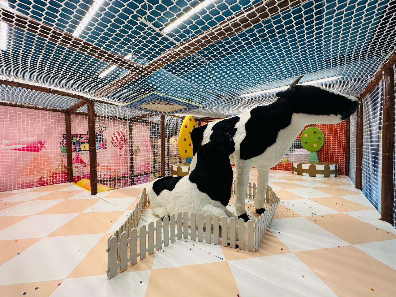 Play Area